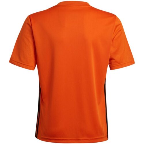 xlarge_clean-69735.jpg